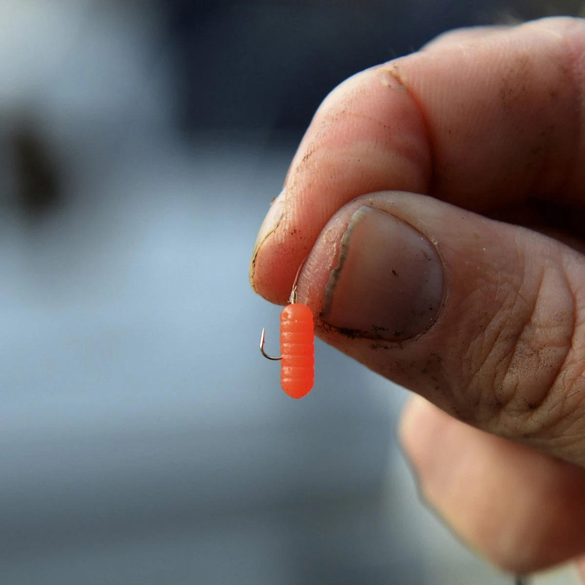 Cresta Spaghetti Worm 8-11-22 Mm 4 Cresta Spaghetti Worm 8-11-22 Mm - Afbeelding 4