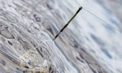 Guru Feederlinks 10 Guru Feederlinks -Guru Hengels Exporteren Winkel guru feederlinks 2