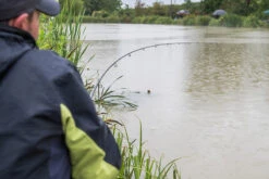 Matrix Ethos XR-C Bomb 10ft/3.0m - 40gr -Guru Hengels Exporteren Winkel matrix ethos xr c bomb 10ft 30m 40gr 8