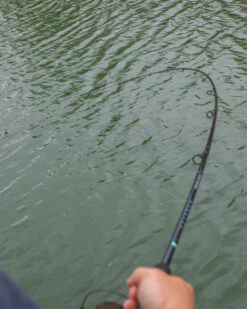 Monster 14 Monster -Guru Hengels Exporteren Winkel preston innovations monster 4