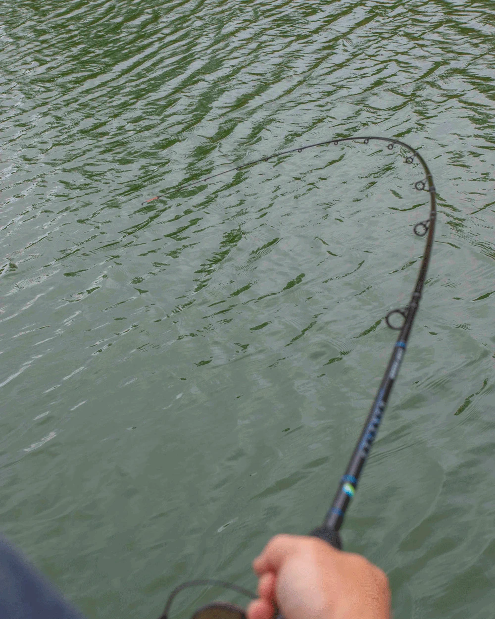 Monster 5 Monster - Afbeelding 5