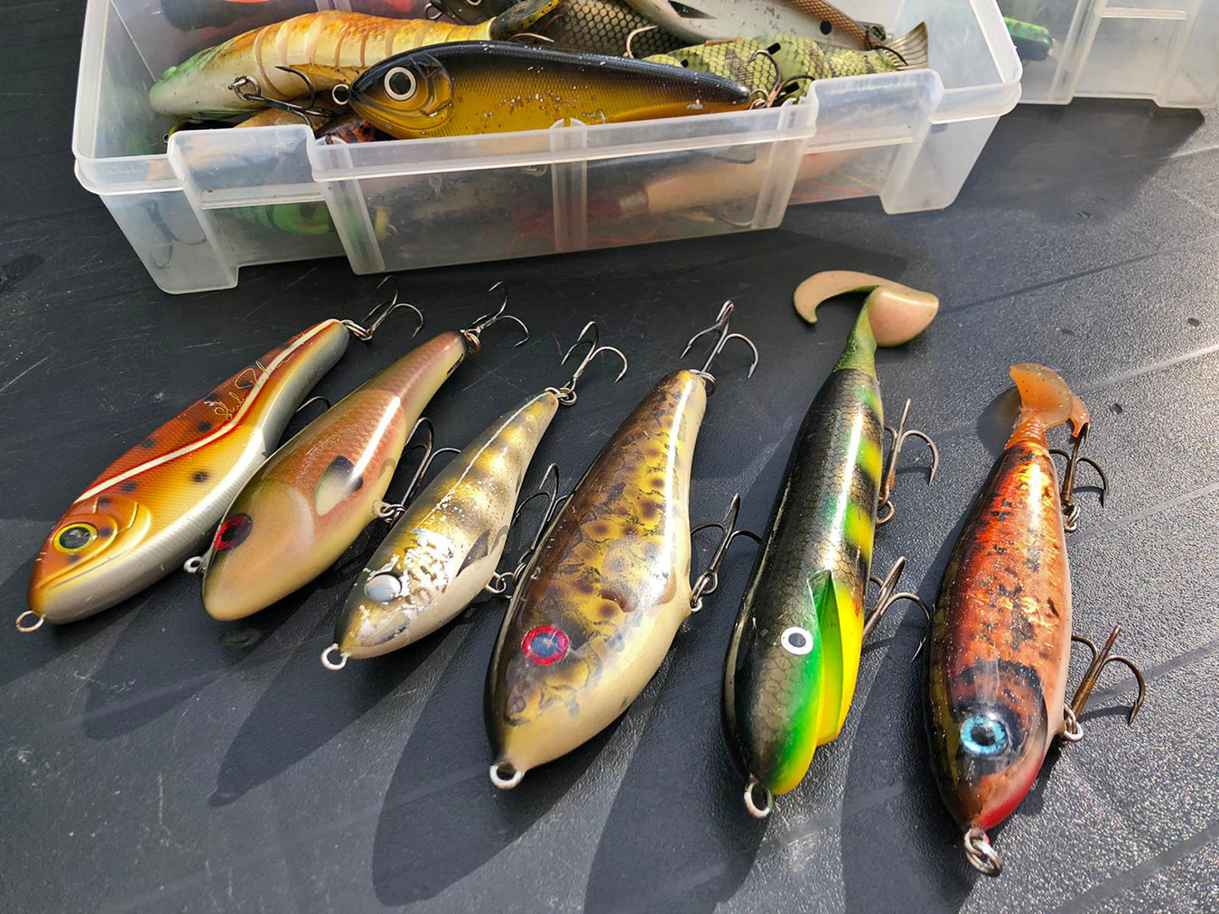 Guru Hengels Exporteren Winkel -Guru Hengels Exporteren Winkel 8db2009b 89c0 4076 a6fe 11e71c77b247